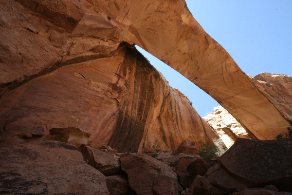 Muley Arch