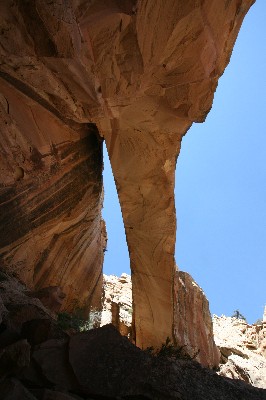 Muley Arch