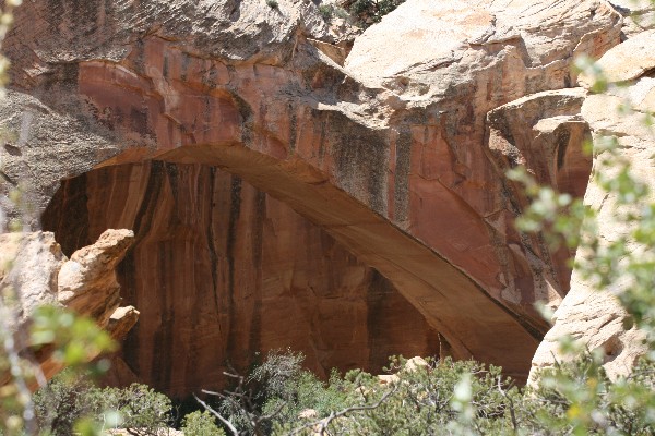 Muley Arch