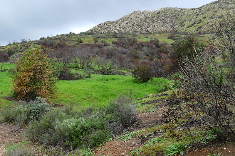 Munitz Cave [El Escorpión Park - Bell Canyon Park]