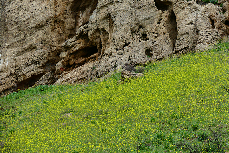 Munitz Cave [El Escorpión Park - Bell Canyon Park]