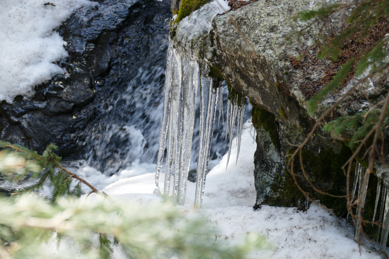 Nambe Lake Trail