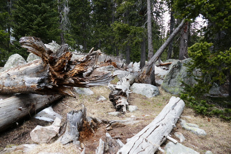 Nambe Lake Trail [Santa Fe National Forest]