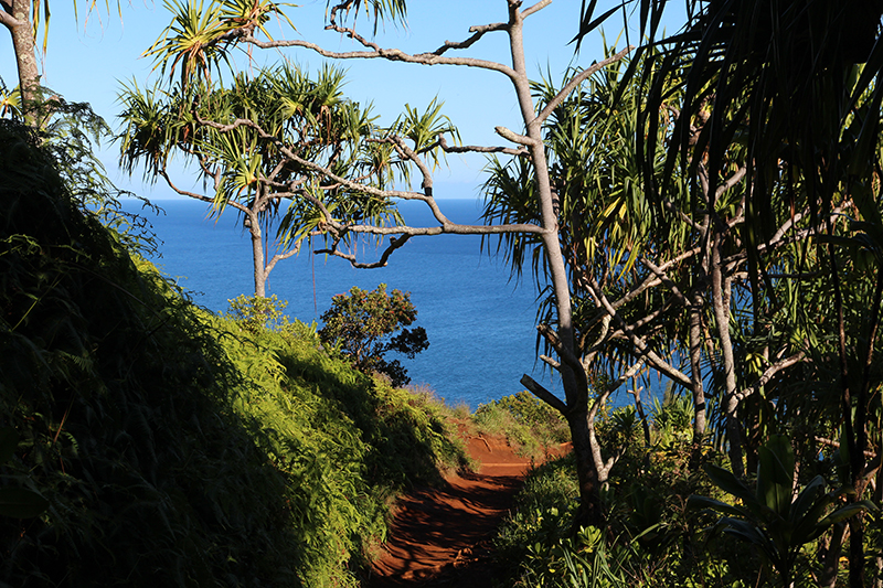 Napali Coast [Kauai - Hawaii]