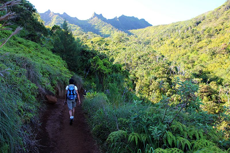 Na Pali Coast - Kalalau Trail, Hanakapiai Falls Trail [Kauai - Hawaii]