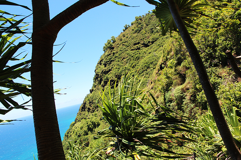 Na Pali Coast Kauai