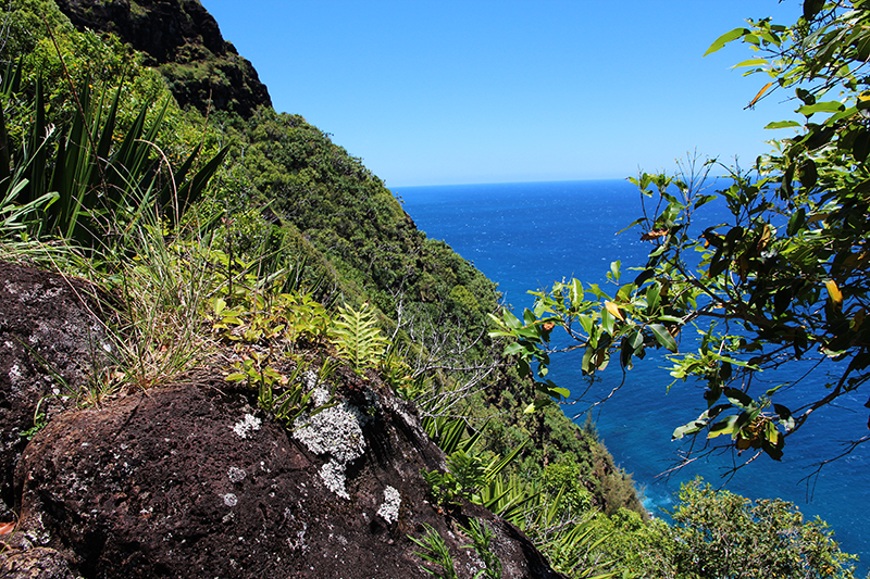 Na Pali Coast Kauai