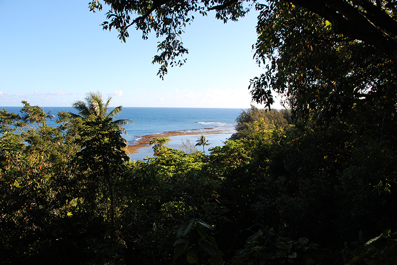 Na Pali Coast Kauai