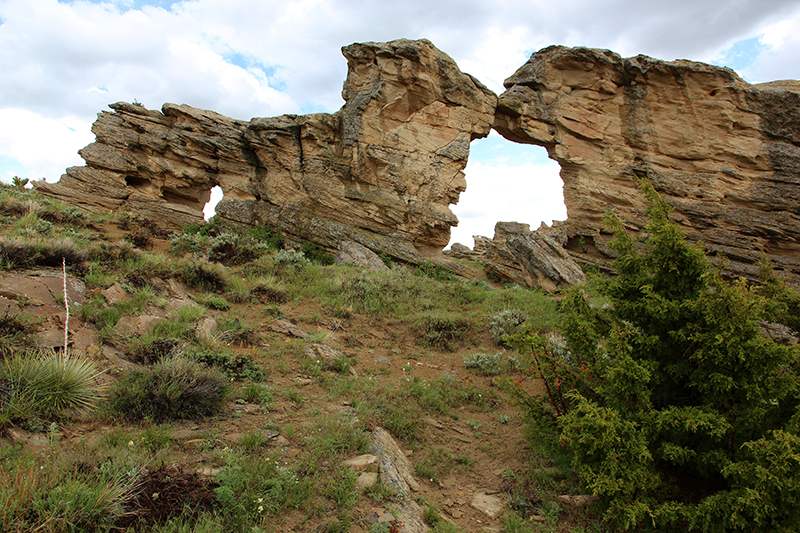 Natrona Arch