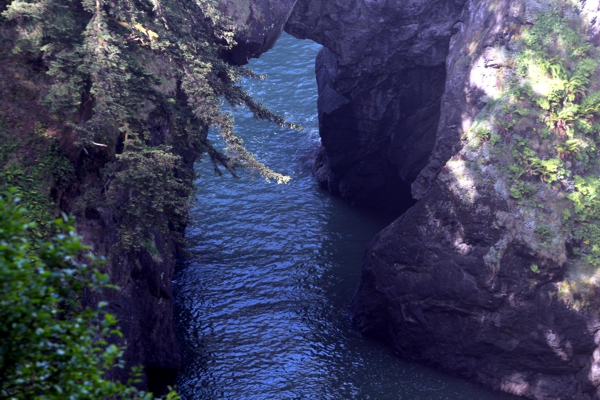 Natural Bridges Cove - V20-35 [Samuel H Boardman State Park]