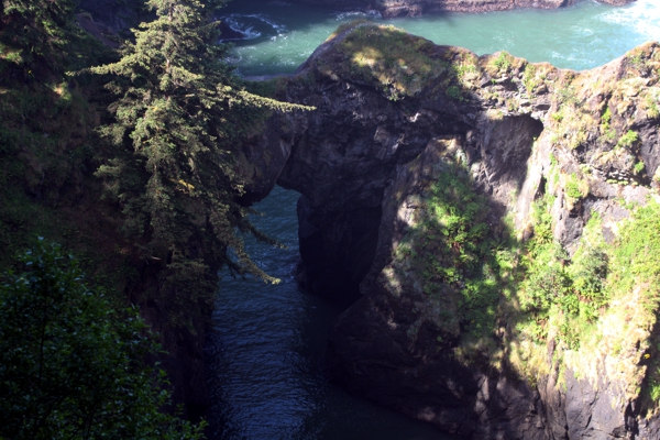 Natural Bridges Cove - V20-35 [Samuel H Boardman State Park]