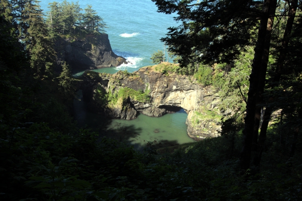 Natural Bridges Cove - V20-35 [Samuel H Boardman State Park]