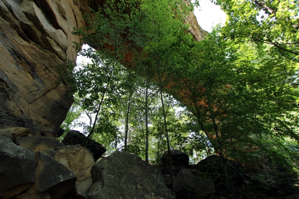 Natural Bridge of Kentucky