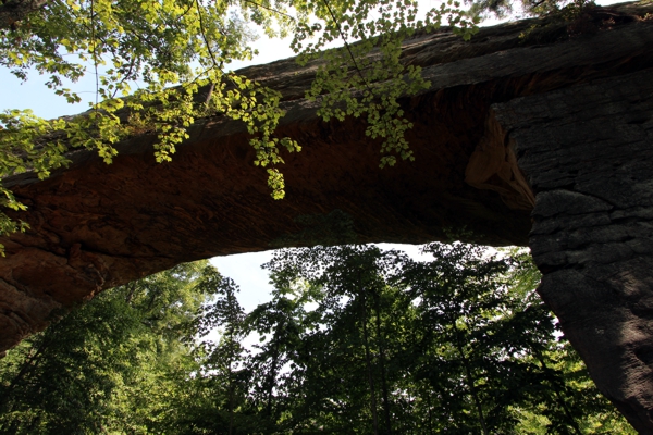 Natural Bridge of Kentucky