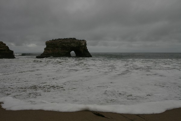 Natural Bridges State Beach Arch