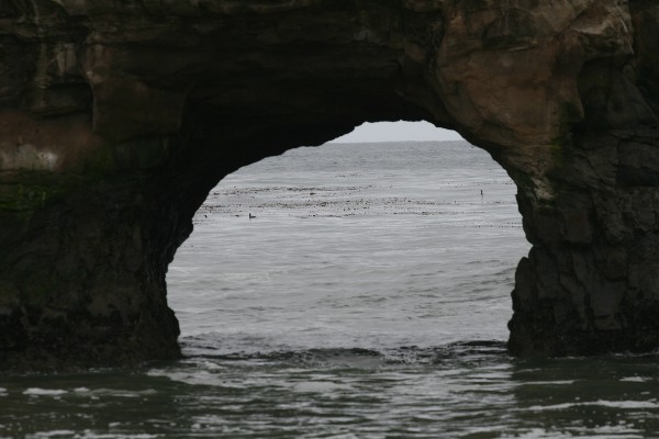 Natural Bridges State Beach Arch