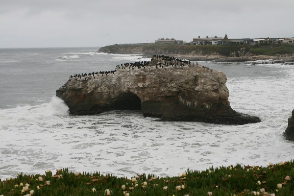 Natural Bridges State Beach Arch