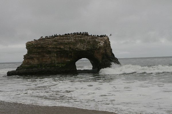 Natural Bridges State Beach Arch