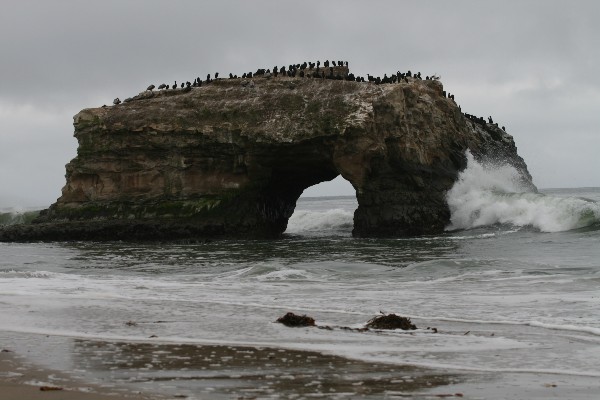 Natural Bridges State Beach Arch