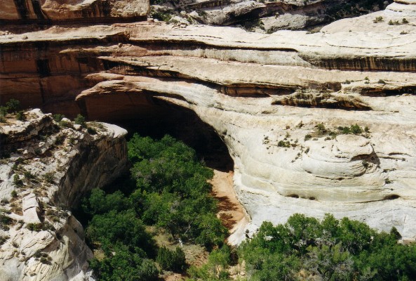 Natural Bridges National Monument