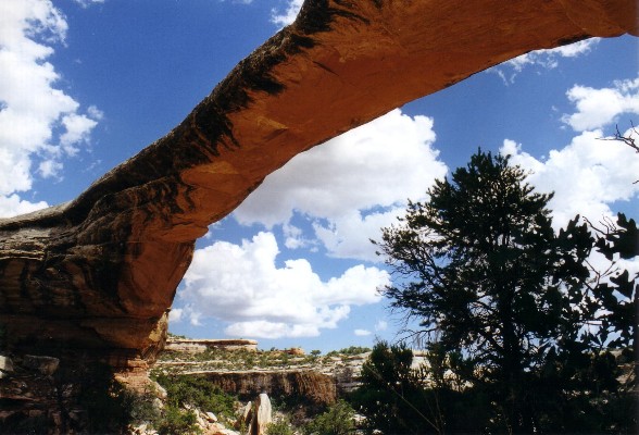 Natural Bridges National Monument