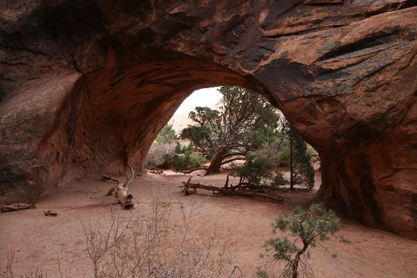 Navajo Arch