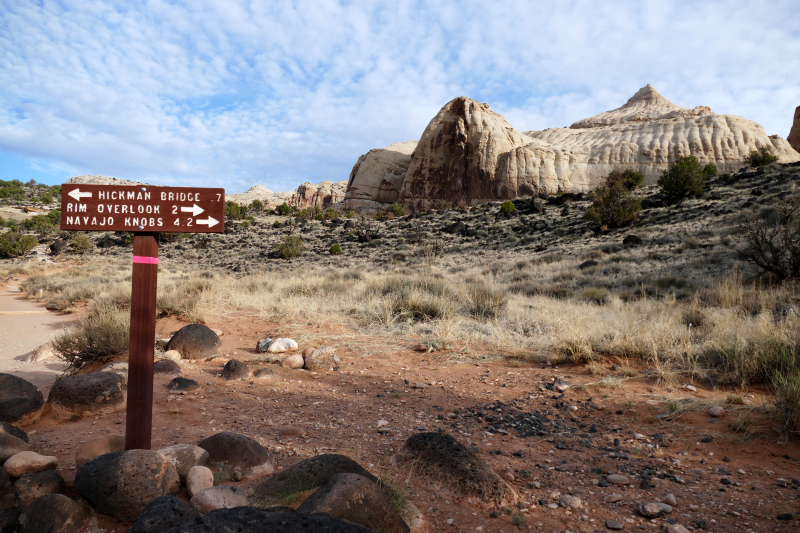 Navajo Knobs Trail [Capitol Reef National Park]