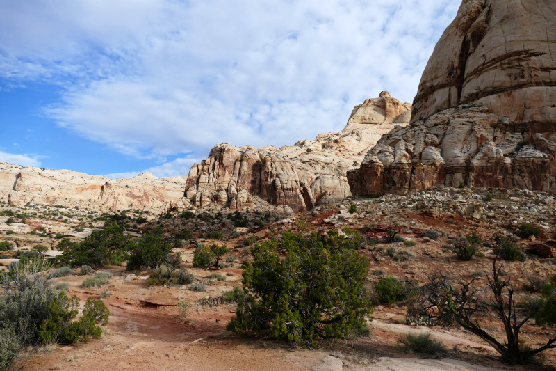 Navajo Knobs Trail [Capitol Reef National Park]