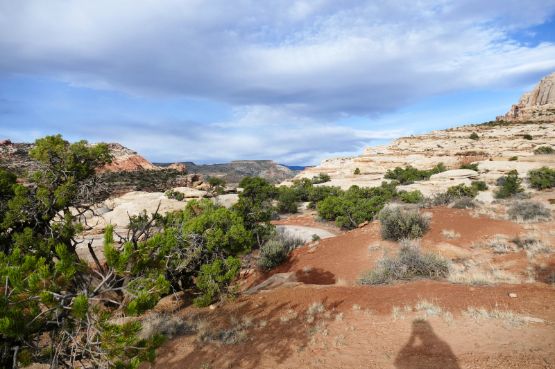 Navajo Knobs Trail [Capitol Reef National Park]
