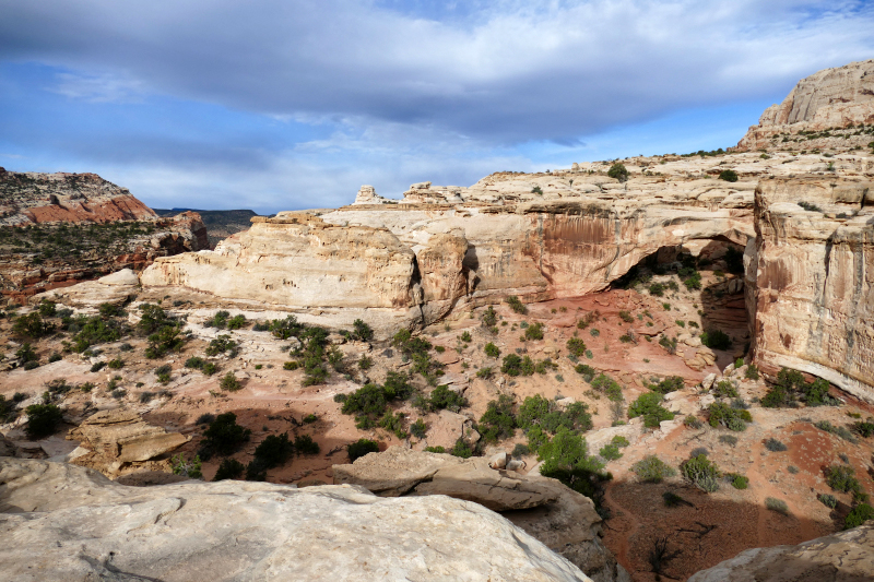 Navajo Knobs Trail [Capitol Reef National Park]