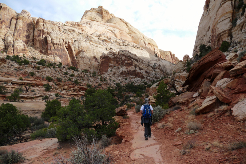 Navajo Knobs Trail [Capitol Reef National Park]