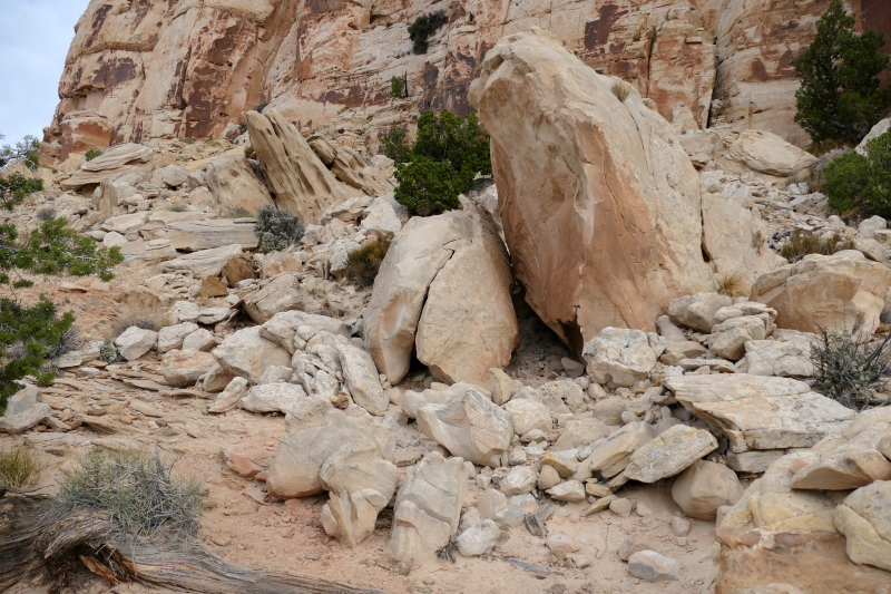 Navajo Knobs Trail [Capitol Reef National Park]