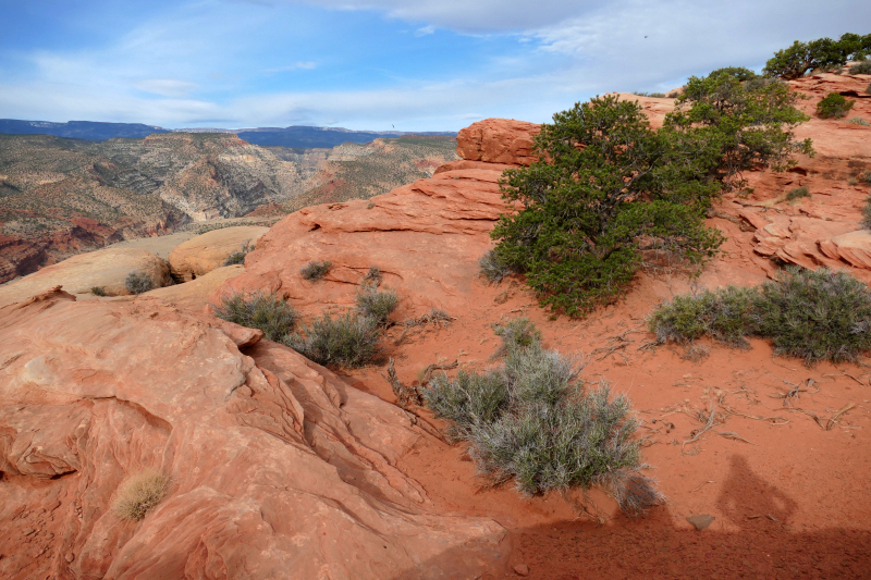 Navajo Knobs Trail [Capitol Reef National Park]