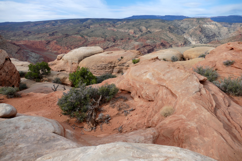 Navajo Knobs Trail [Capitol Reef National Park]