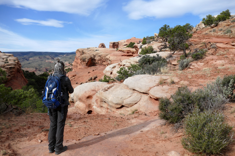 Navajo Knobs Trail [Capitol Reef National Park]