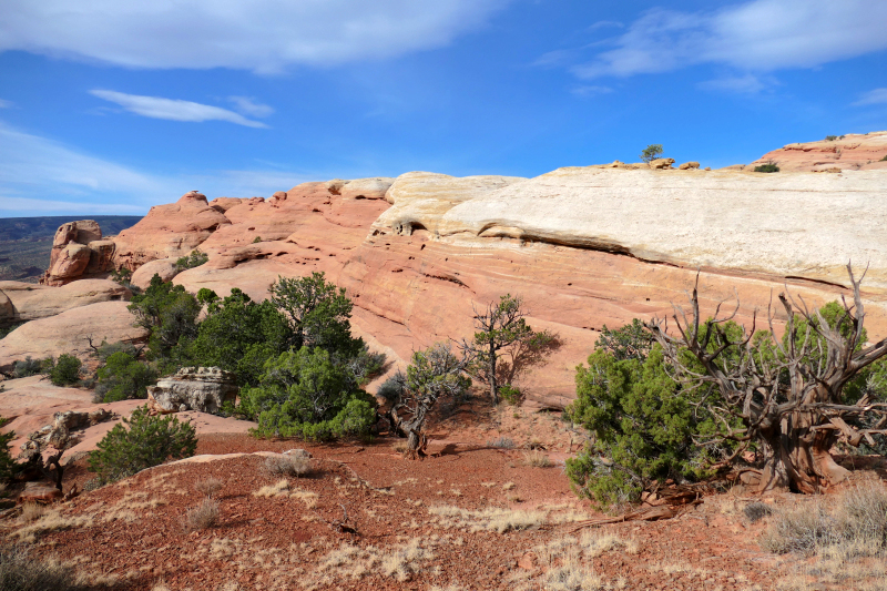 Navajo Knobs Trail [Capitol Reef National Park]