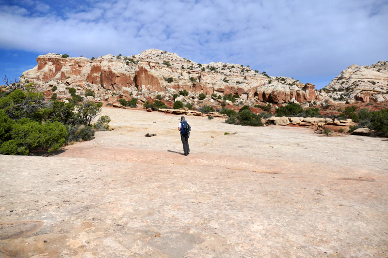 Navajo Knobs Trail [Capitol Reef National Park]