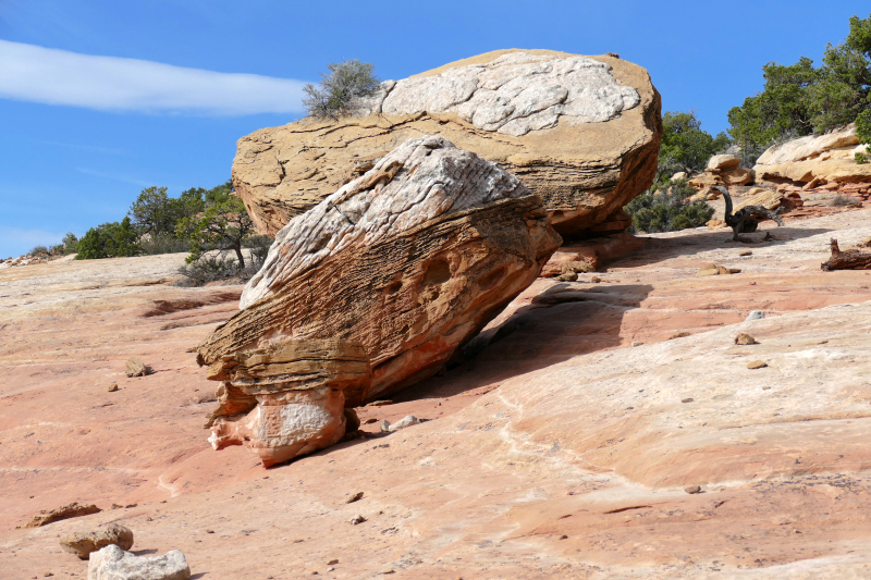 Navajo Knobs Trail [Capitol Reef National Park]