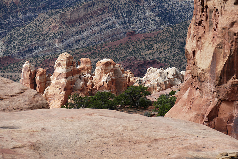 Navajo Knobs Trail [Capitol Reef National Park]