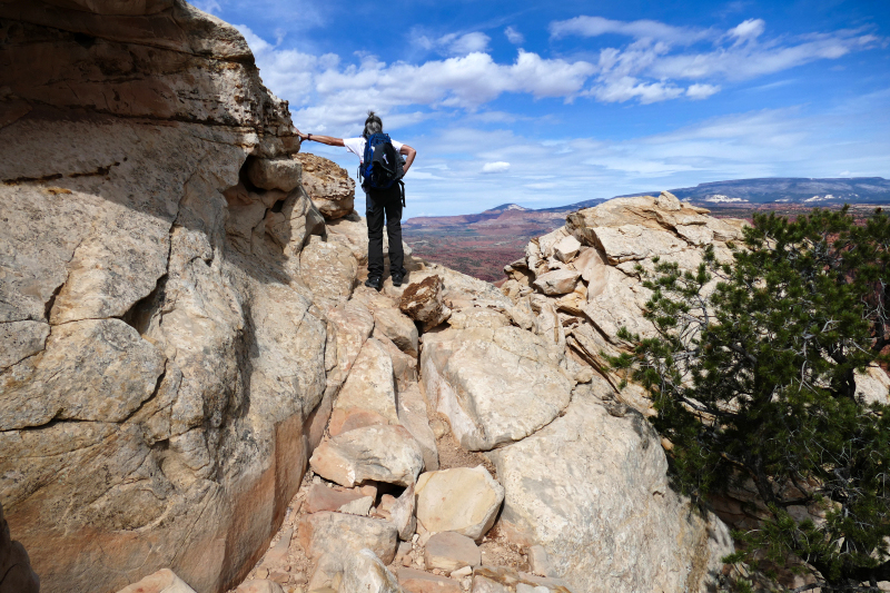 Navajo Knobs Trail [Capitol Reef National Park]