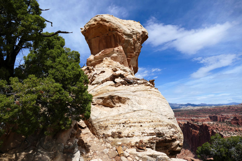 Navajo Knobs Trail [Capitol Reef National Park]