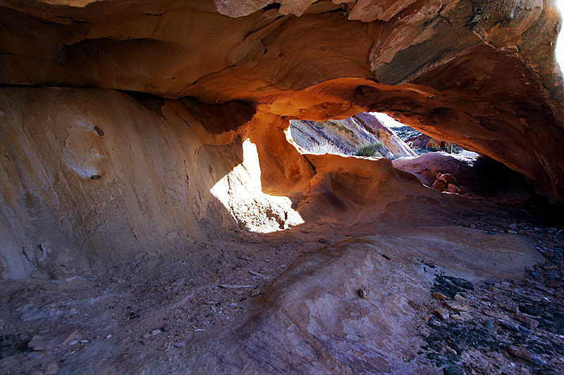 Napolitano Arch Whitney Pocket