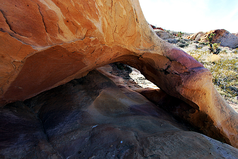 Napolitano Arch Whitney Pocket