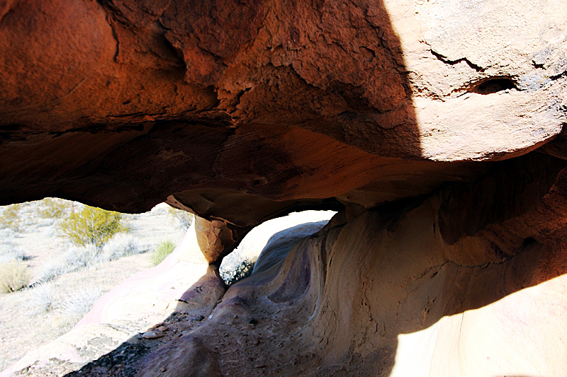 Napolitano Arch Whitney Pocket