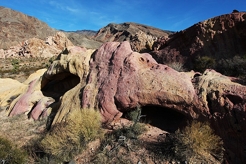 Neapolitano Arch