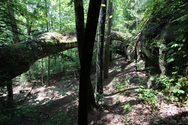 Needle Arch