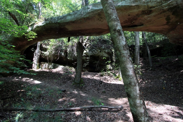 Needle Arch