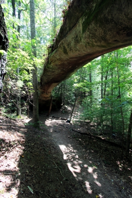 Needle Arch