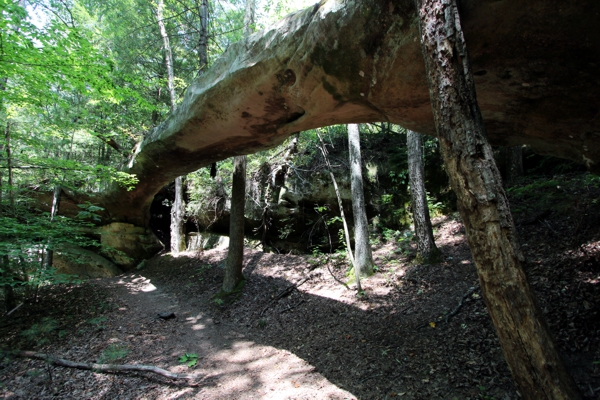 Needle Arch