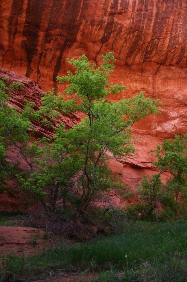 Grand Staircase Escalante National Monument und Glen Canyon National Recreation Area